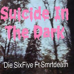 Suicide in the Dark (feat. Smrtdeath)