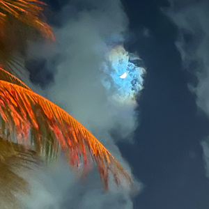 她说的话都可以当歌名