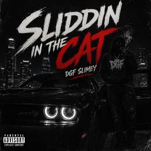 Slidding In The Cat