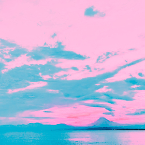 ラストエレクト