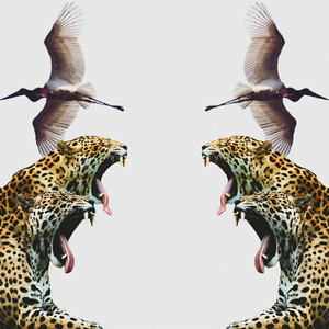Catinga