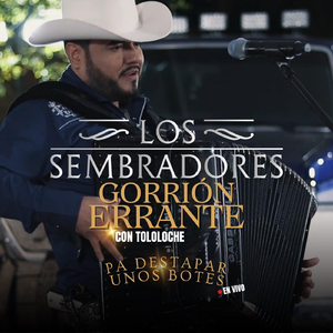 Gorrión Errante (En Vivo)