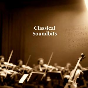 Whispers of the Ancient Forest