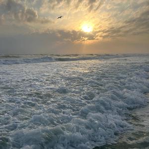 fukkgoin0nslime x who tf is yall ?