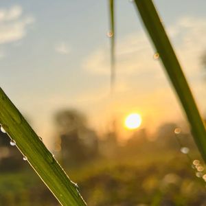 在未来的旅途中