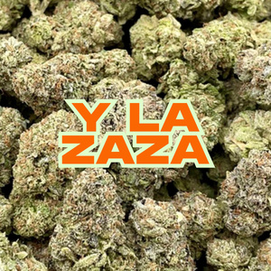 Y La Zaza (Sped Up)