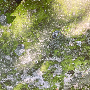 ニアレ（じっと夜の明けるのを待つことにした）