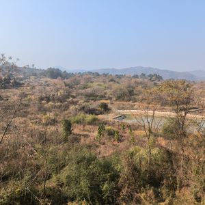 不想（情歌版） 伴奏