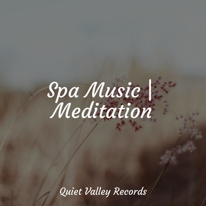 Calm Spa Music