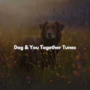 Cute (Music)