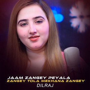 Jaam Zangey Peyala Zangey Tola Mekhana Zangey