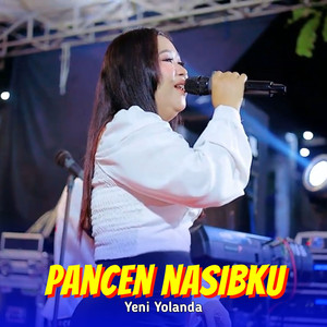 Pancen Nasibku