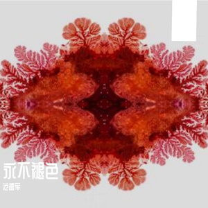 永不褪色PROD BY 金桔0RANG3