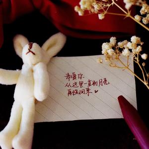 小扫把和小扫帚的故事