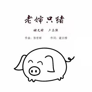 老婶只猪