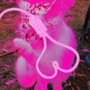 Ten Dead Vapes for Breakfast