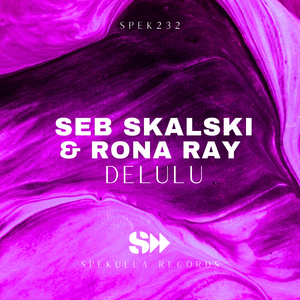 Delulu (Seb's Funk & Soul Remix)