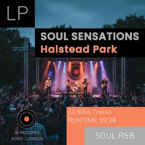 SPIRIT OF THE GROOVE