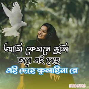 আমি কেমনে ভুলি তরে এই দেহে কুলাইনা রে