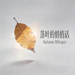 落叶的悄悄话