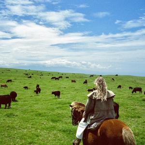 Till The Cows Come Home