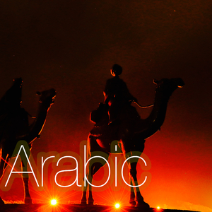 フラワーオブライフ～生命の神秘～