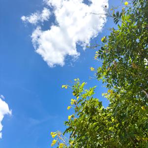 Feelin' Alive (feat. Wave Meow)