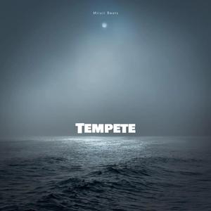 Tempete (feat. Th4)