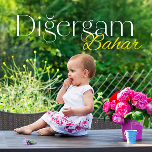 Bahar