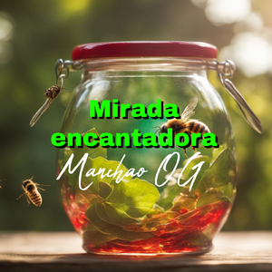 Muchos antojos