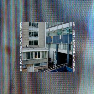don't u know (PALLADIAN Remix)
