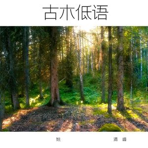 古木低语