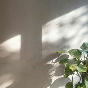 我辣么可爱怎么可以起辣么早