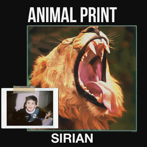 Animal Print