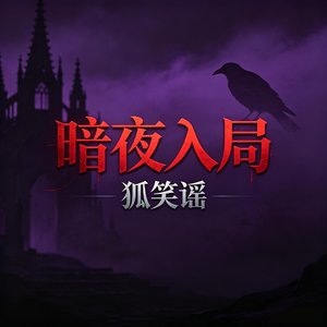 暗夜入局