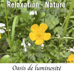 Oasis de luminosité