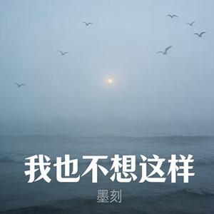 我也不想这样 (烟嗓深情版)