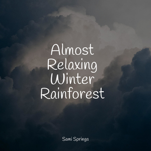 Rain, Leaves, Evening