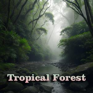 Tropical Forest