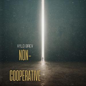non cooperative