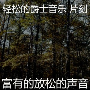 一尘不染睡眠印象数