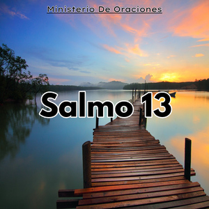 Salmo 13
