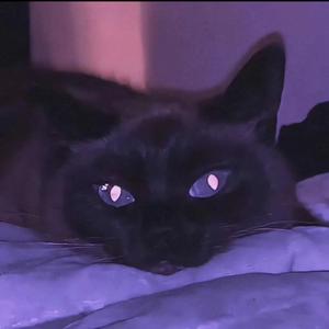 哇扣哇扣 (热播)