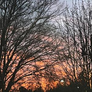 subsiding