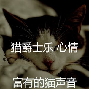 有趣小猫情怀