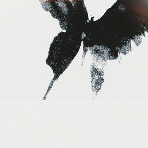 表森子 你咋不早说俺俩没以后 Prod.sleepyyer