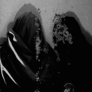 Alles Dat Niets Omvat