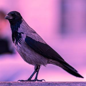 Exact numbers (Radio Edit)