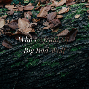 Who's Afraid Of Big Bad Wolf