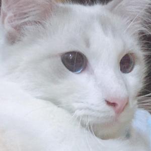 不要忘记我爱你